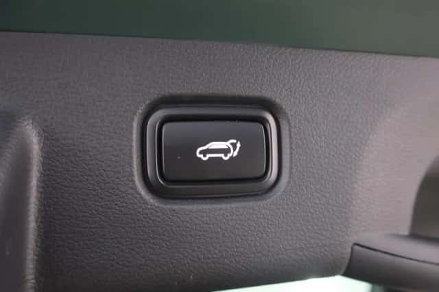 Kia Sportage (2024) thumbnail 38