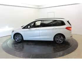 BMW 2-Serie (2020) thumbnail 16