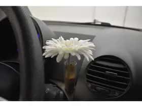 Volkswagen Beetle (2004) thumbnail 19