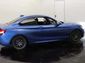 BMW 2-Serie (2018) thumbnail 67