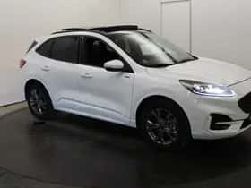 Ford Kuga (2020) thumbnail 79