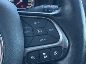 Jeep Renegade (2019) thumbnail 13