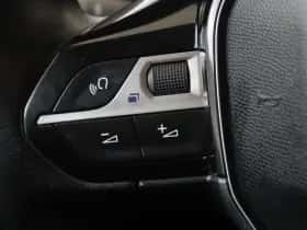 Peugeot 3008 (2018) thumbnail 22