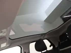 Citroën C4 Cactus (2019) thumbnail 30