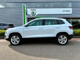 Škoda Karoq (2021) thumbnail 19