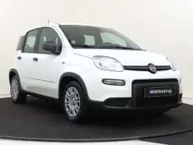 Fiat Panda (2025) thumbnail 3
