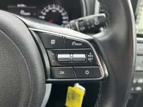 Kia Sportage (2019) thumbnail 17