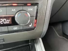 SEAT Ibiza (2021) thumbnail 30