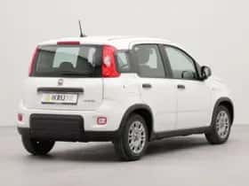 Fiat Panda (2024) thumbnail 2