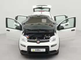 Fiat Panda (2024) thumbnail 17