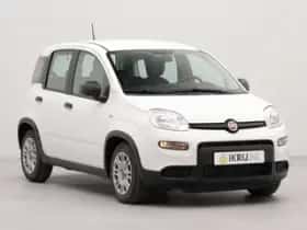 Fiat Panda (2024) thumbnail 3