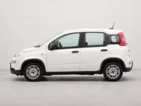 Fiat Panda (2024) thumbnail 23