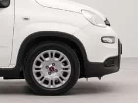 Fiat Panda (2024) thumbnail 30