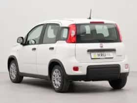 Fiat Panda (2024) thumbnail 4