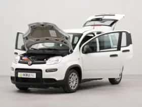 Fiat Panda (2024) thumbnail 32