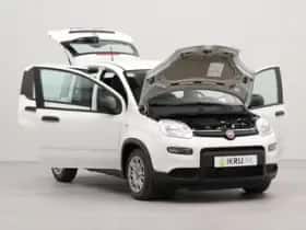 Fiat Panda (2024) thumbnail 33