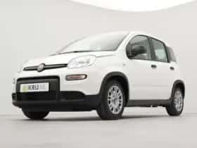 Fiat Panda (2024) thumbnail 10