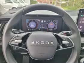 Škoda Kodiaq (2025) thumbnail 14