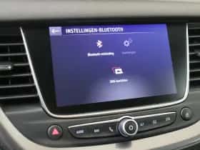 Opel Grandland X (2019) thumbnail 19