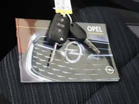 Opel Crossland X (2019) thumbnail 24