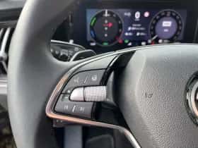 Škoda Kodiaq (2025) thumbnail 18