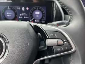 Škoda Kodiaq (2025) thumbnail 19