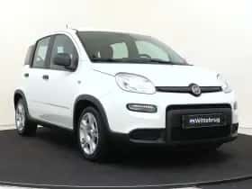 Fiat Panda (2023) thumbnail 3