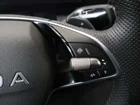 Škoda Kodiaq (2025) thumbnail 19