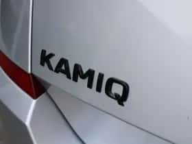 Škoda Kamiq (2021) thumbnail 31
