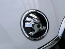 Škoda Fabia (2019) thumbnail 18
