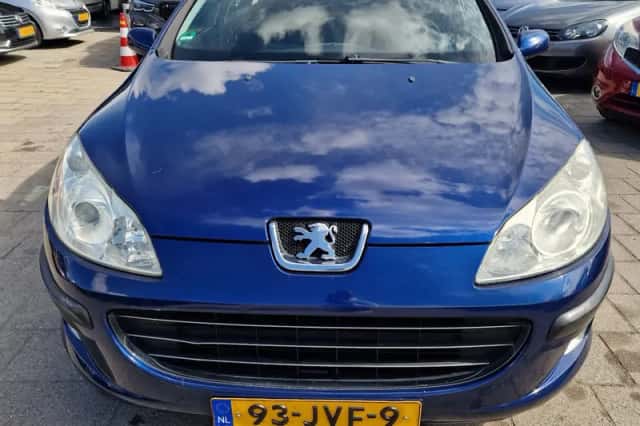 Peugeot 407 (2009) thumbnail 2