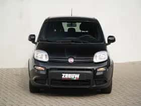 Fiat Panda (2022) thumbnail 5