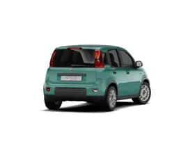 Fiat Pandina (2026) thumbnail 6