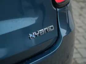 Fiat 600 (2025) thumbnail 14