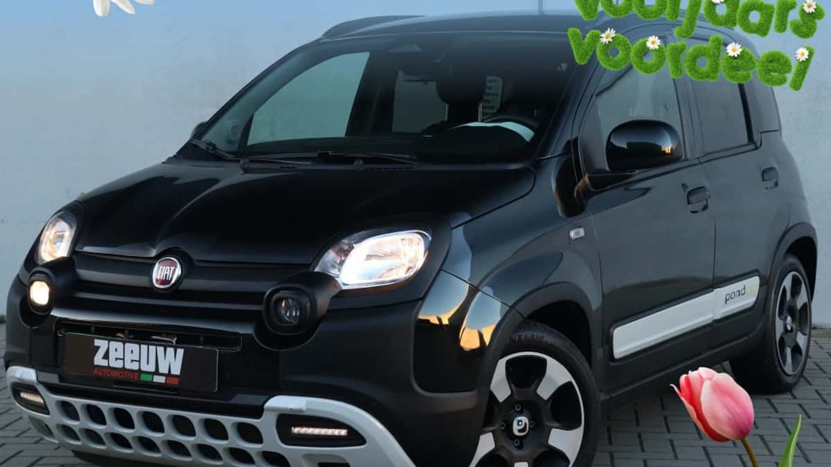 Fiat Panda — foto 1