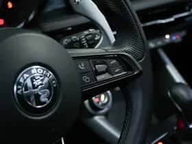 Alfa Romeo Tonale (2024) thumbnail 22
