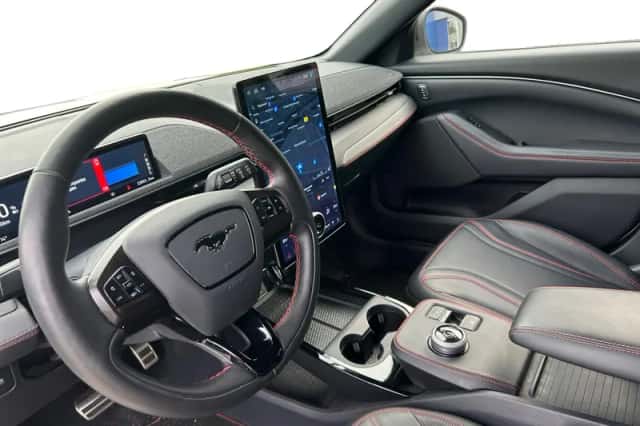Ford Mustang Mach-E (2021) thumbnail 14