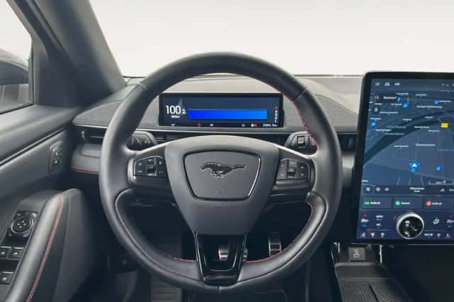 Ford Mustang Mach-E (2021) thumbnail 15
