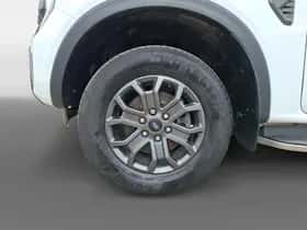 Ford Ranger (2024) thumbnail 9