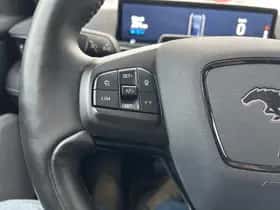Ford Mustang Mach-E (2021) thumbnail 15
