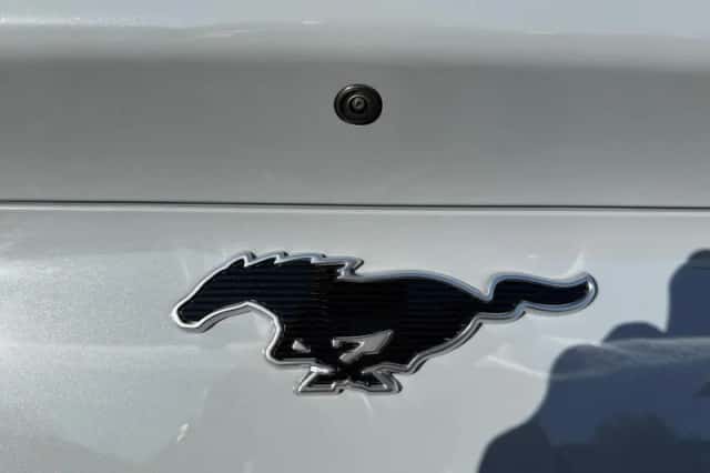 Ford Mustang Mach-E (2026) thumbnail 28