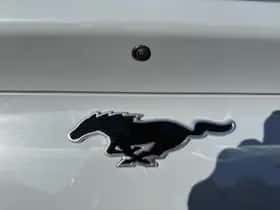 Ford Mustang Mach-E (2026) thumbnail 28