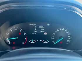 Ford Focus (2024) thumbnail 19