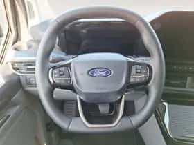 Ford E-Transit (2025) thumbnail 20