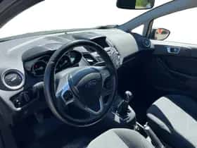 Ford Fiesta (2016) thumbnail 10