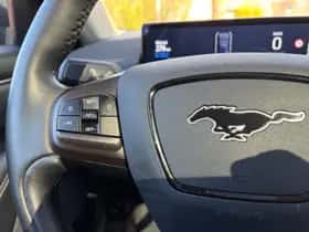 Ford Mustang Mach-E (2022) thumbnail 14