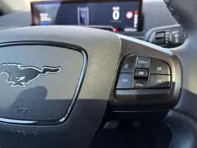 Ford Mustang Mach-E (2022) thumbnail 15