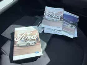 Ford Fiesta (2018) thumbnail 20