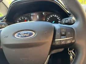 Ford Fiesta (2020) thumbnail 17