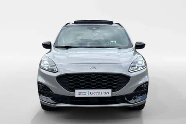Ford Kuga (2024) thumbnail 2
